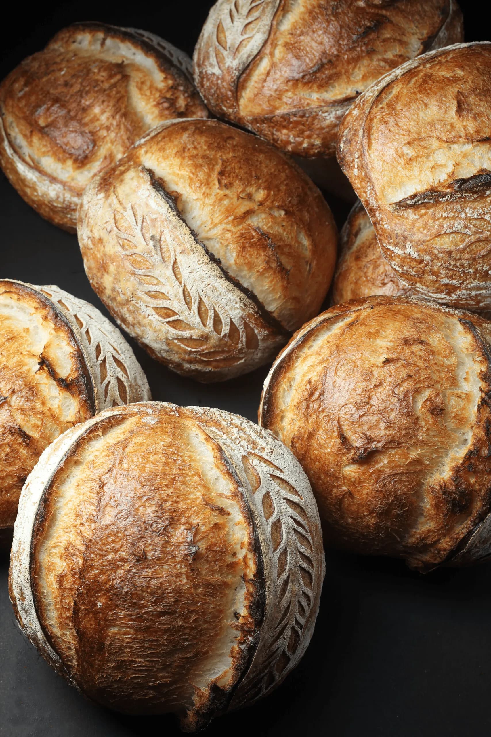 Introduction to the art of bread baking