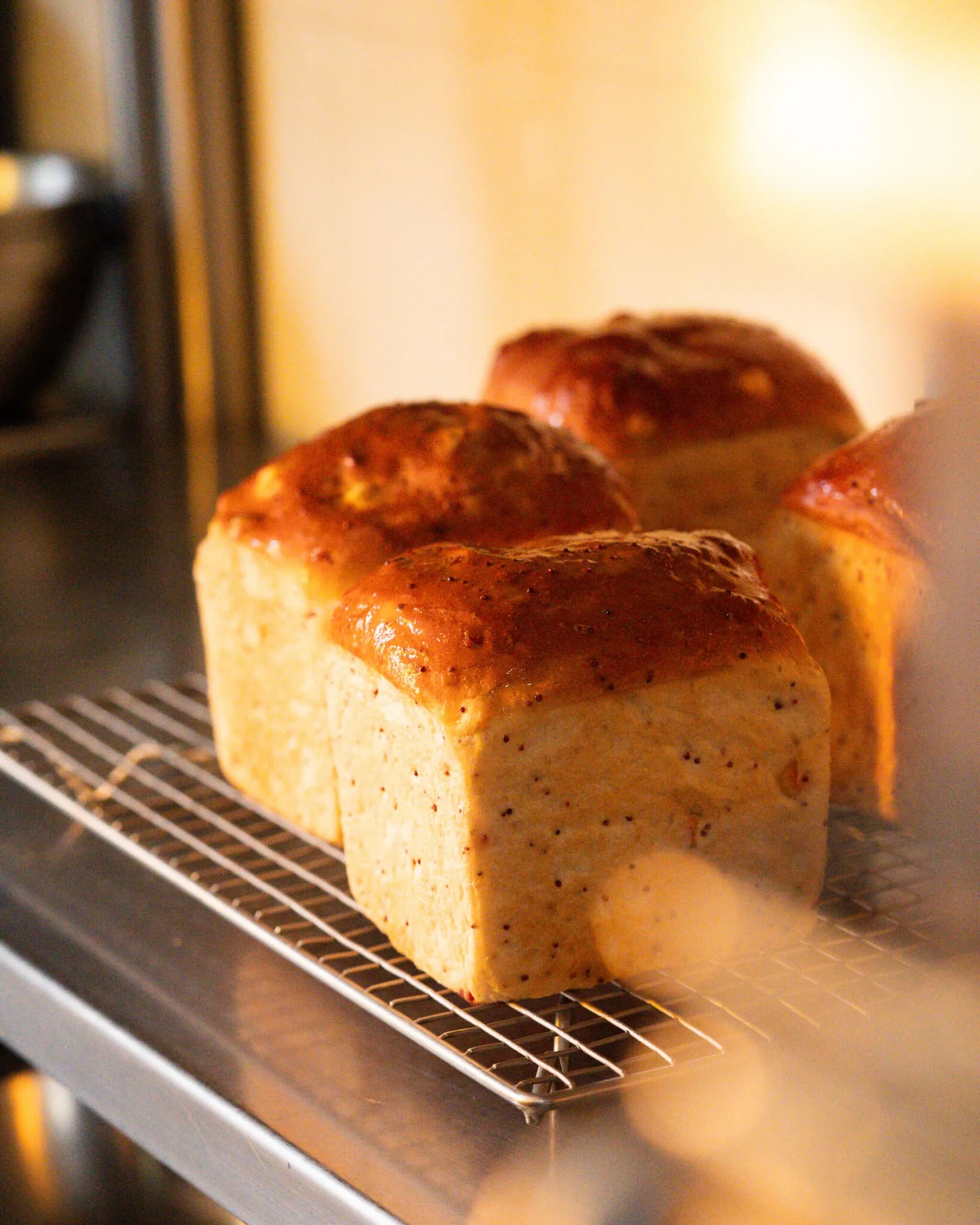Basic & lean breads